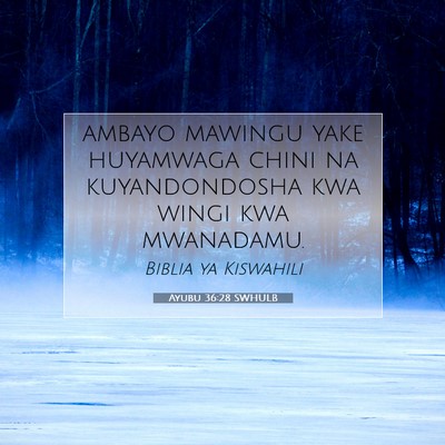 Picture 07 - Ayubu 36:28 SWHULB - ambayo mawingu yake huyamwaga chini na - Bible Verse Picture