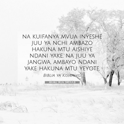 Picture 07 - Ayubu 38:26 SWHULB - na kuifanya mvua inyeshe juu ya nchi ambazo - Bible Verse Picture