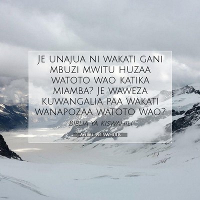 Picture 07 - Ayubu 39:1 SWHULB - Je unajua ni wakati gani mbuzi mwitu huzaa watoto - Bible Verse Picture