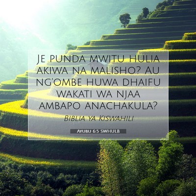 Picture 07 - Ayubu 6:5 SWHULB - Je punda mwitu hulia akiwa na malisho? Au ng'ombe - Bible Verse Picture