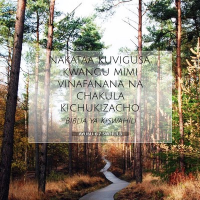 Picture 07 - Ayubu 6:7 SWHULB - Nakataa kuvigusa; kwangu mimi vinafanana na - Bible Verse Picture