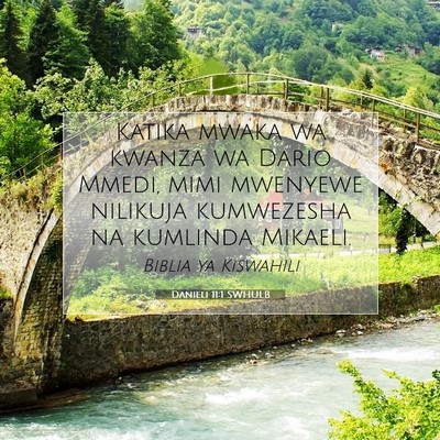 Picture 07 - Danieli 11:1 SWHULB - Katika mwaka wa kwanza wa Dario Mmedi, mimi - Bible Verse Picture
