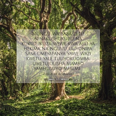 Picture 07 - Danieli 2:23 SWHULB - Mungu wa baba zetu, ninakushukuru na kukutukuza - Bible Verse Picture
