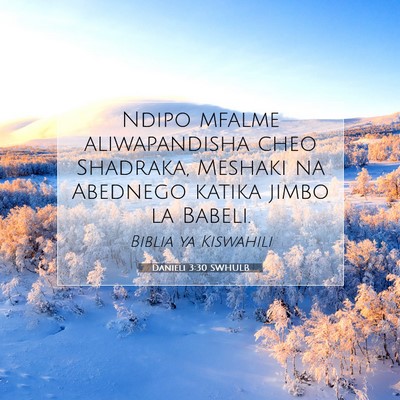 Picture 07 - Danieli 3:30 SWHULB - Ndipo mfalme aliwapandisha cheo Shadraka, Meshaki - Bible Verse Picture