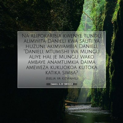 Picture 07 - Danieli 6:20 SWHULB - Na alipokaribia kwenye tundu, alimwita Danieli - Bible Verse Picture