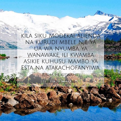 Picture 07 - Esta 2:11 SWHULB - kila siku Modekai alienda na kurudi mbele nje ya - Bible Verse Picture