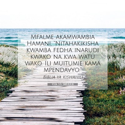 Picture 07 - Esta 3:11 SWHULB - Mfalme akamwambia Hamani, “Nitahakikisha kwamba - Bible Verse Picture