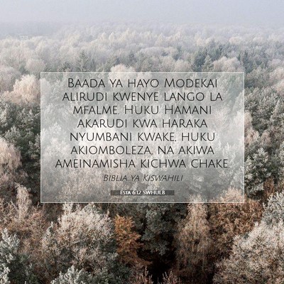 Picture 07 - Esta 6:12 SWHULB - Baada ya hayo Modekai alirudi kwenye lango la - Bible Verse Picture