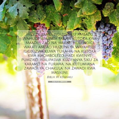 Picture 07 - Esta 9:22 SWHULB - Hizi zilikuwa ndizo siku ambazo Wahudi walipata - Bible Verse Picture