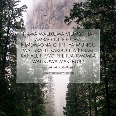 Picture 07 - Ezekieli 10:20 SWHULB - Hawa walikuwa viumbe hai ambao niliokuwa - Bible Verse Picture