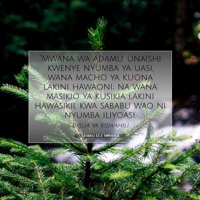 Picture 07 - Ezekieli 12:2 SWHULB - “Mwana wa adamu, unaishi kwenye nyumba ya uasi, - Bible Verse Picture