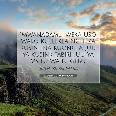 Picture 07 - Ezekieli 20:46 SWHULB - “Mwanadamu, weka uso wako kuelekea nchi za - Bible Verse Picture