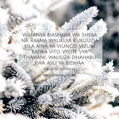 Picture 07 - Ezekieli 27:22 SWHULB - Wafanya biashara wa Sheba na Raama walikuja - Bible Verse Picture
