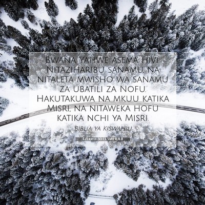 Picture 07 - Ezekieli 30:13 SWHULB - Bwana Yahwe asema hivi: Nitaziharibu sanamu, na - Bible Verse Picture