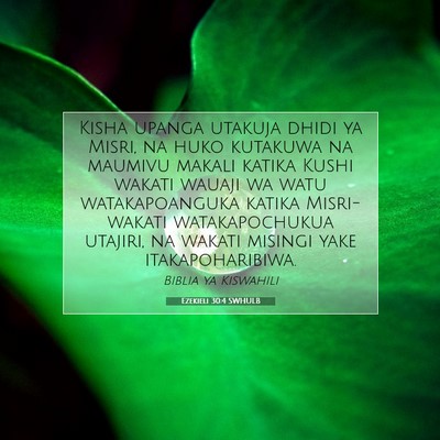 Picture 07 - Ezekieli 30:4 SWHULB - Kisha upanga utakuja dhidi ya Misri, na huko - Bible Verse Picture