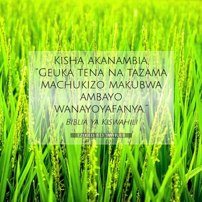 Picture 07 - Ezekieli 8:13 SWHULB - Kisha akanambia, “Geuka tena na tazama - Bible Verse Picture