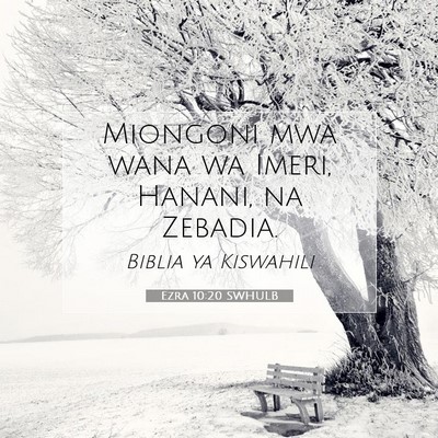 Picture 07 - Ezra 10:20 SWHULB - Miongoni mwa wana wa Imeri, Hanani, na - Bible Verse Picture