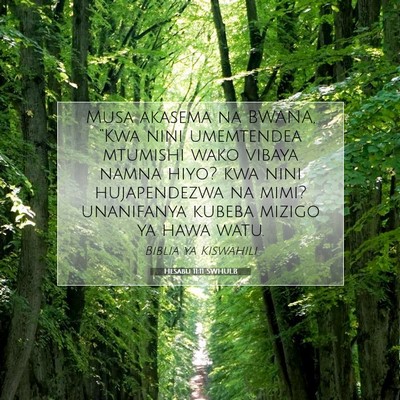 Picture 07 - Hesabu 11:11 SWHULB - Musa akasema na BWANA, “Kwa nini umemtendea - Bible Verse Picture