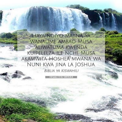 Picture 07 - Hesabu 13:16 SWHULB - Haya ndiyo majina ya wanaume ambao Musa aliwatuma - Bible Verse Picture