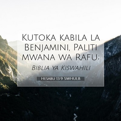 Picture 07 - Hesabu 13:9 SWHULB - Kutoka kabila la Benjamini, Paliti mwana wa - Bible Verse Picture