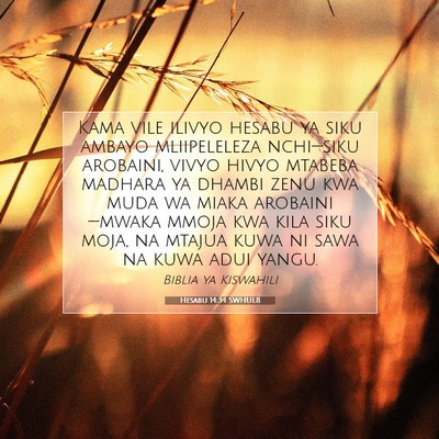 Picture 07 - Hesabu 14:34 SWHULB - Kama vile ilivyo hesabu ya siku ambayo - Bible Verse Picture