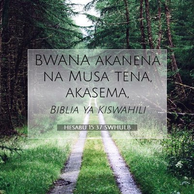 Picture 07 - Hesabu 15:37 SWHULB - BWANA akanena na Musa tena, - Bible Verse Picture