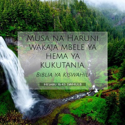 Picture 07 - Hesabu 16:43 SWHULB - Musa na Haruni wakaja mbele ya hema ya - Bible Verse Picture
