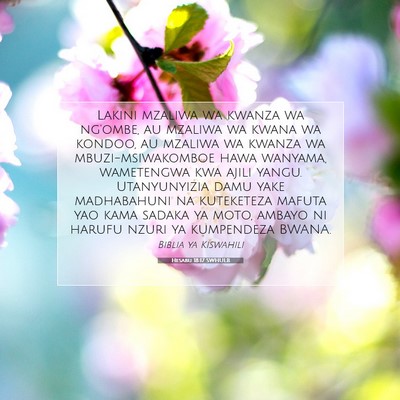 Picture 07 - Hesabu 18:17 SWHULB - Lakini mzaliwa wa kwanza wa ng'ombe, au mzaliwa - Bible Verse Picture