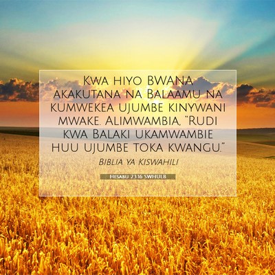 Picture 07 - Hesabu 23:16 SWHULB - Kwa hiyo BWANA akakutana na Balaamu na kumwekea - Bible Verse Picture