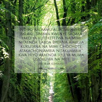 Picture 07 - Hesabu 23:3 SWHULB - Ndipo Balaamu alipomwamiba Balaki, “Simama - Bible Verse Picture
