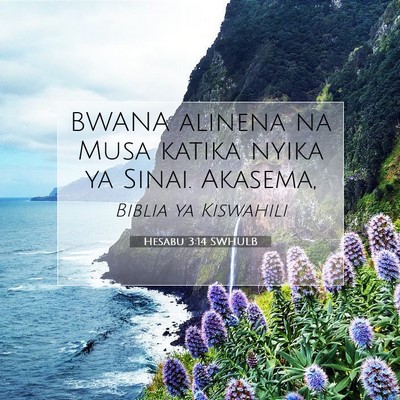 Picture 07 - Hesabu 3:14 SWHULB - BWANA alinena na Musa katika nyika ya Sinai. - Bible Verse Picture