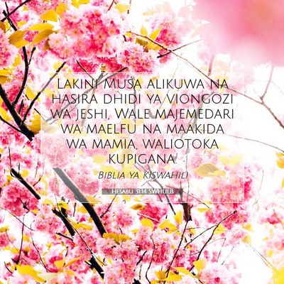 Picture 07 - Hesabu 31:14 SWHULB - Lakini Musa alikuwa na hasira dhidi ya viongozi - Bible Verse Picture