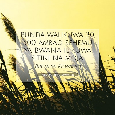 Picture 07 - Hesabu 31:39 SWHULB - Punda walikuwa 30, 500 ambao sehemu ya BWANA - Bible Verse Picture