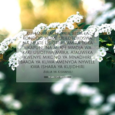 Picture 07 - Hesabu 6:19 SWHULB - Kuhani atachukua bega la kondoo mume - Bible Verse Picture