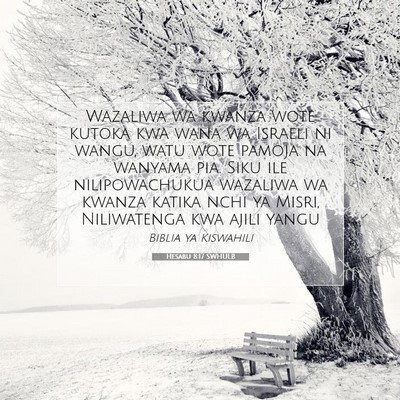 Picture 07 - Hesabu 8:17 SWHULB - Wazaliwa wa kwanza wote kutoka kwa wana wa - Bible Verse Picture