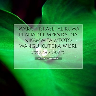 Picture 07 - Hosea 11:1 SWHULB - “Wakati Israeli alikuwa kijana nilimpenda, na - Bible Verse Picture