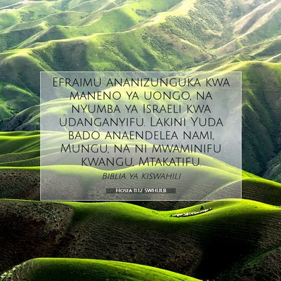 Picture 07 - Hosea 11:12 SWHULB - Efraimu ananizunguka kwa maneno ya uongo, na - Bible Verse Picture