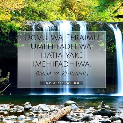 Picture 07 - Hosea 13:12 SWHULB - Uovu wa Efraimu umehifadhiwa; hatia yake - Bible Verse Picture