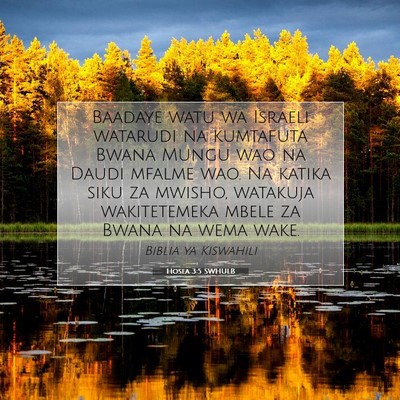 Picture 07 - Hosea 3:5 SWHULB - Baadaye watu wa Israeli watarudi na kumtafuta - Bible Verse Picture