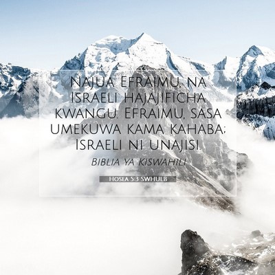Picture 07 - Hosea 5:3 SWHULB - Najua Efraimu, na Israeli hajajificha kwangu. - Bible Verse Picture