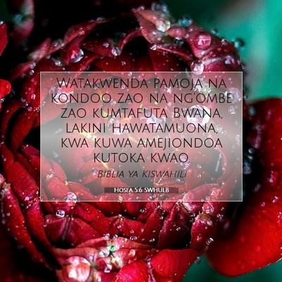 Picture 07 - Hosea 5:6 SWHULB - Watakwenda pamoja na kondoo zao na ng'ombe zao - Bible Verse Picture