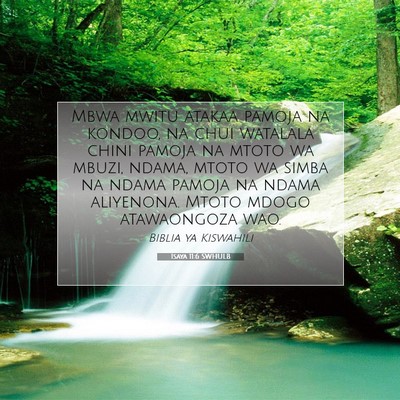 Picture 07 - Isaya 11:6 SWHULB - Mbwa mwitu atakaa pamoja na kondoo, na chui - Bible Verse Picture