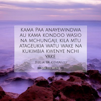 Picture 07 - Isaya 13:14 SWHULB - Kama Paa anayewindwa au kama kondoo wasio na - Bible Verse Picture