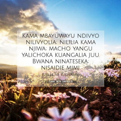 Picture 07 - Isaya 38:14 SWHULB - Kama mbayuwayu ndivyo nilivyolia; nililia kama - Bible Verse Picture
