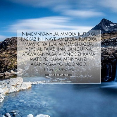 Picture 07 - Isaya 41:25 SWHULB - Nimemnyanyua mmoja kutoka kaskazini, naye amekuja - Bible Verse Picture