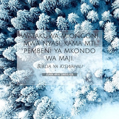 Picture 07 - Isaya 44:4 SWHULB - Watakuwa miongoni mwa nyasi, kama mti pembeni ya - Bible Verse Picture