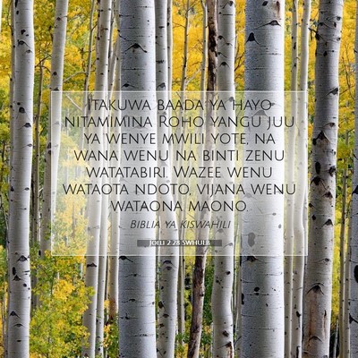 Picture 07 - Joeli 2:28 SWHULB - Itakuwa baada ya hayo nitamimina Roho yangu juu - Bible Verse Picture