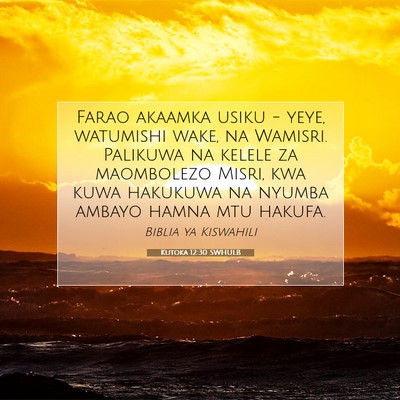 Picture 07 - Kutoka 12:30 SWHULB - Farao akaamka usiku - yeye, watumishi wake, na - Bible Verse Picture