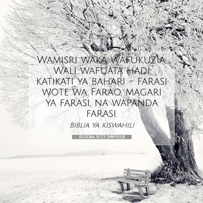 Picture 07 - Kutoka 14:23 SWHULB - Wamisri waka wafukuzia. Wali wafuata hadi - Bible Verse Picture