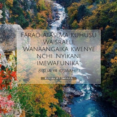 Picture 07 - Kutoka 14:3 SWHULB - Farao atasema kuhusu Waisraeli, 'Wanaangaika - Bible Verse Picture